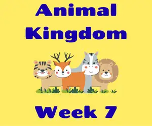 Preschool Summer Camp Week 7- July 20th